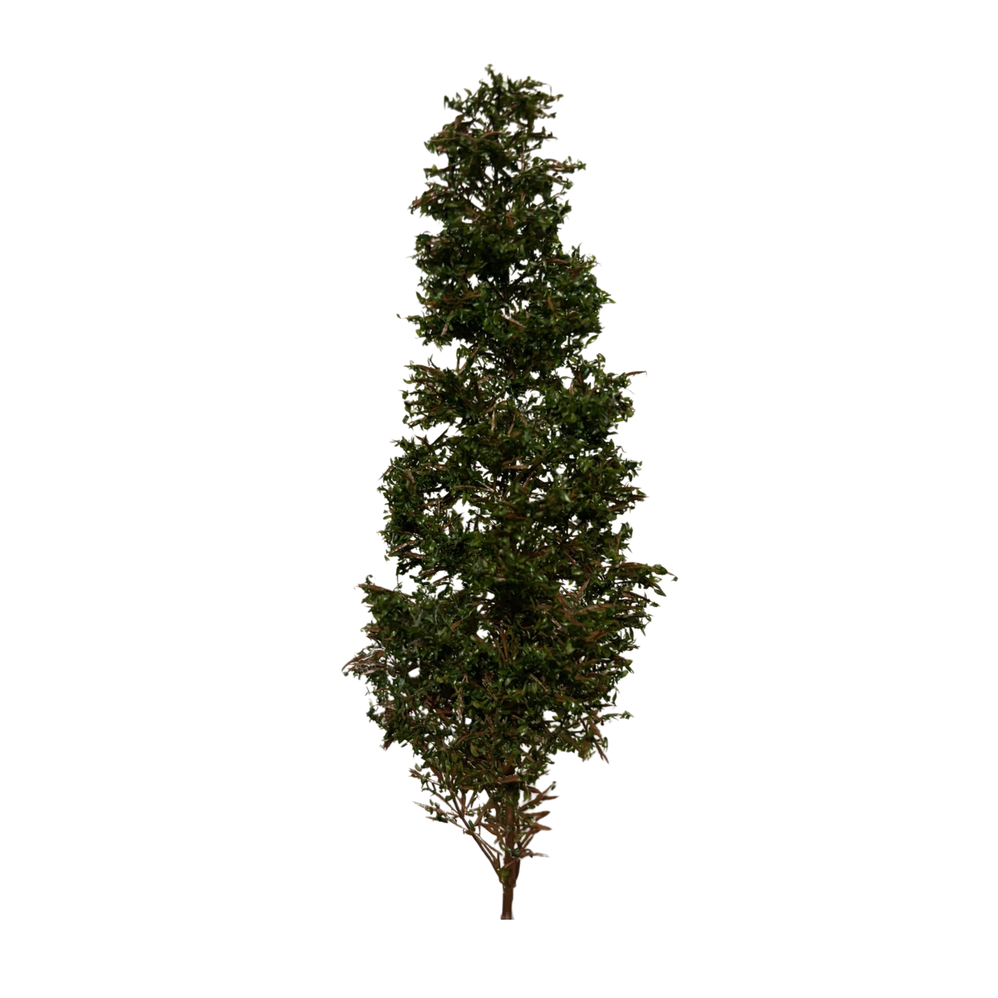 Pine Tree 12cm